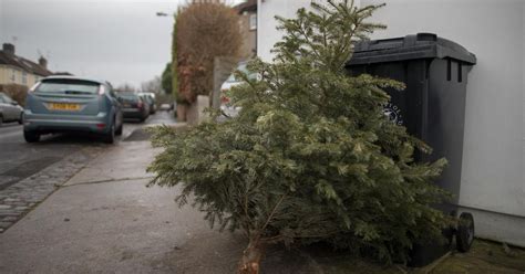 Christmas Tree Recycling Near Me