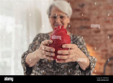 Caucasian Elderly Lady Holding Fake Heart Cardiovascular Disease Heart