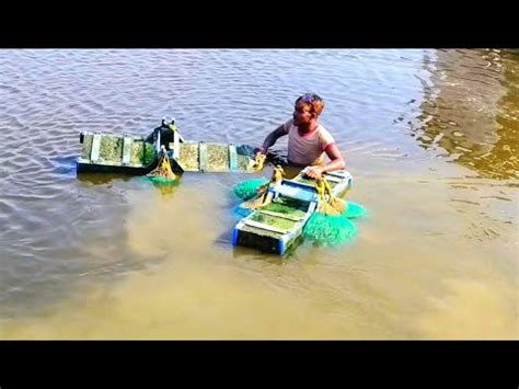 Amazing Shrimp Fishing Video Catch Hundreds Tons Shrimp With Modern