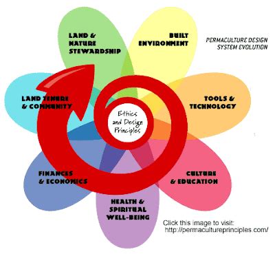 adventures in sustainability: Sustainability and the Permaculture Flower