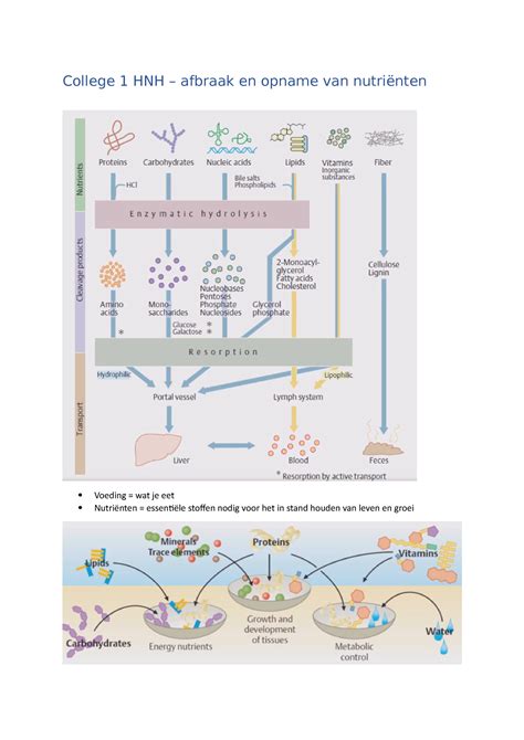 Aantekeningen Van Het Eerste College Van Hnh College Hnh