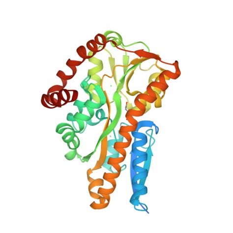 Rcsb Pdb Mx Crystal Structure Of A Trap Periplasmic Solute Binding