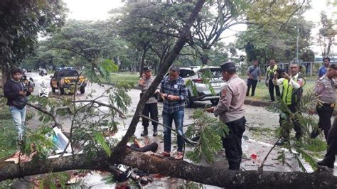 Angin Kencang Tumbangkan Pohon Dan Tewaskan 2 Orang Di Karawang Jalan