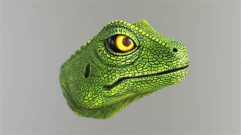 Lizard Head 3d Model By Lensly [b29552b] Sketchfab