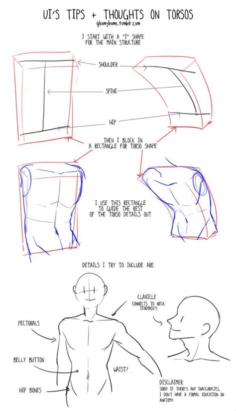 Pin by Carson on Drawing | Anatomy tutorial, Body drawing tutorial ...