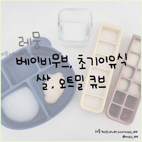 베이비무브 이유식마스터기 초기이유식 쌀과 오트밀 큐브8배죽 네이버 블로그