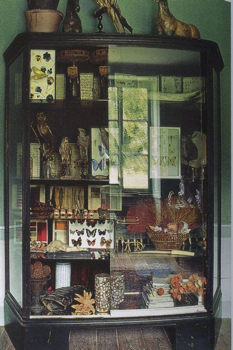 29 Cabinets Of Curiosities Ideas Cabinet Of Curiosity Cabinet Of Curiosities Curiosity