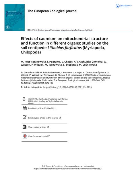 Pdf Effects Of Cadmium On Mitochondrial Structure And Function In