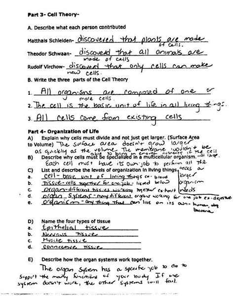 reinforcement worksheet cell theory answers