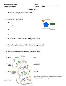 Bozeman Dna And Rna Part Answers Pages Solution In Doc Mb