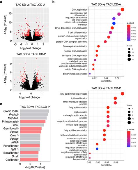 Rna Seq Results In The Hearts Of Mice Fed Different Lcds A Volcano