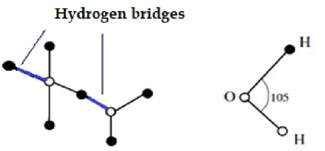 Stage 1. Preservation of neutral pH in dynamic proportional equilibrium... | Download Scientific ...