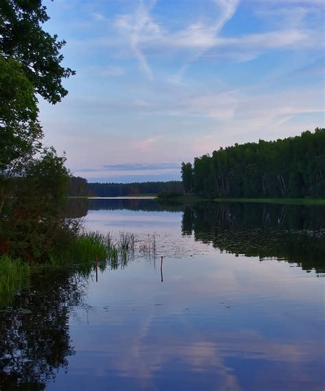 Fotos Gratis Paisaje Rbol Naturaleza Bosque Pantano Nube