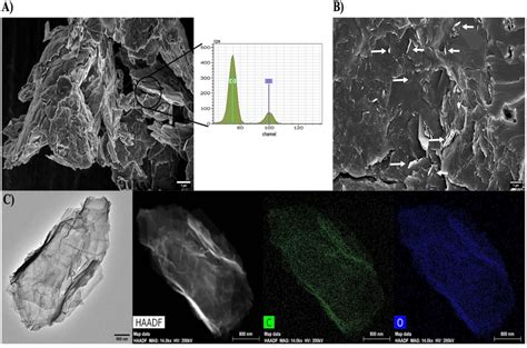 Electron Microscopy Characterization Of GNPs Powder And GNPs Modified