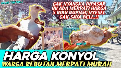 Harga Konyol Warga Rebutan Merpati Murah Ribu Grebek Pasar