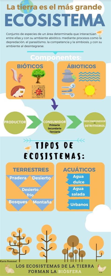 Infografia De La Composicion De Un Ecosistema Ecosistemas Tipos De