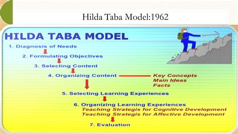 Hilda Taba Model The Models Of Curriculum Development With Examples