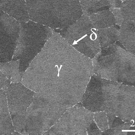 Microstructure Of The GH4169 Si3N4 Joints Brazed At Different