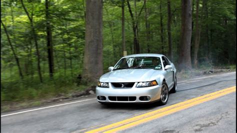 2003 Svt Cobra Burnout Youtube