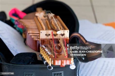18 Swedish Nyckelharpa Stock Photos, High-Res Pictures, and Images ...