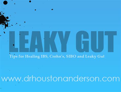 Scottsdale Leaky Gut Doctor Functional Medicine Sibo Ibs And Leaky Gut Dr Houston Anderson