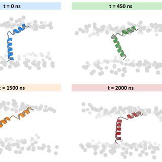 Figure Legend Helix Linker Helix Molecular Model Of DWORF A 2000 Ns