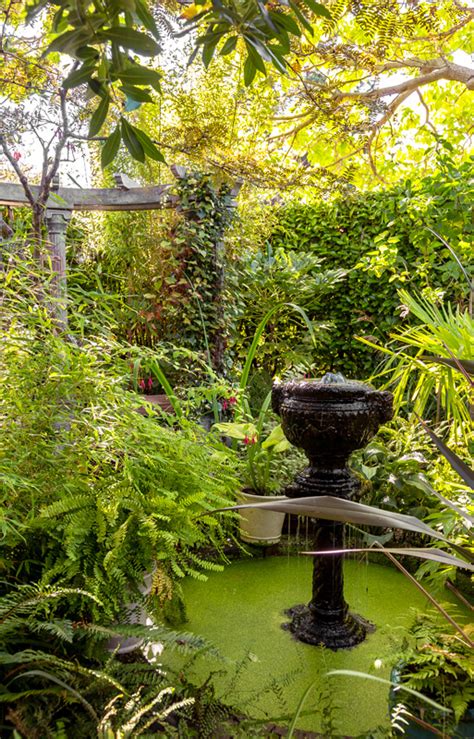 Garden Oasis David Coulson Design