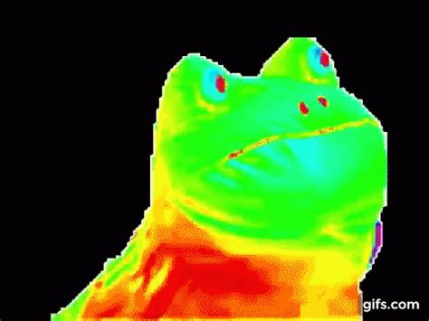 Frog Meme GIF - Frog Meme Rainbow - Discover & Share GIFs