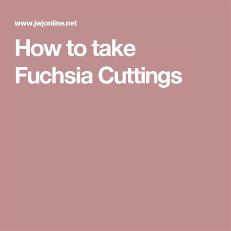 How To Take Fuchsia Cuttings Fuchsia Propagating Plants Cut