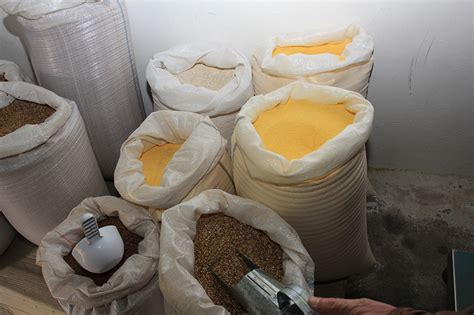 Гречка оптом от производителя в Молдове — Agro-Moldova