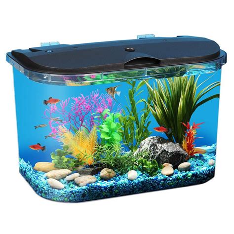 Best 5 Gallon Fish Tank ~ Top Fish Aquariums Online (2020)