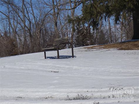 The Lonely Park Bench Photograph By Brandon Connell Fine Art America