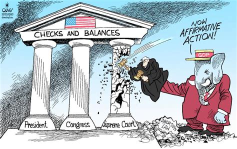 Checks And Balances Political Cartoon