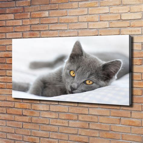 Brayden Studio Graue Katze Ungerahmte Kunstdrucke Auf Leinwand