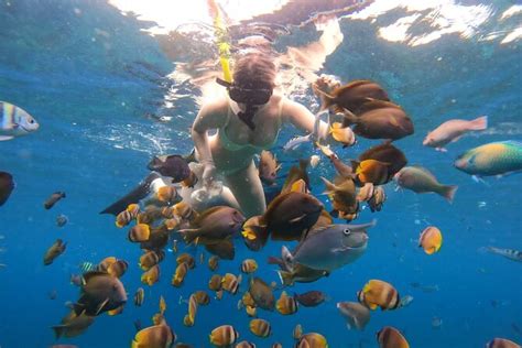 Snorkeling In Nusa Penida Island With Manta Ray From Bali