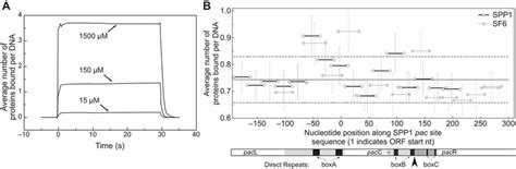 Spr Analyses Of Sf6 Dbd Binding To Pac Dna A Sensorgrams Of Dbd