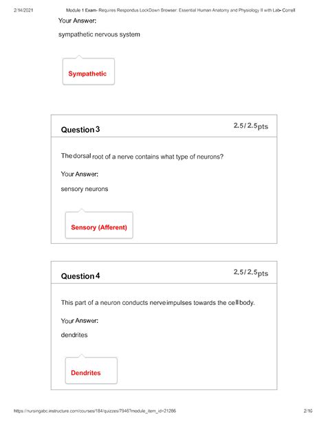 SOLUTION Biod 152 Module 1 Exam Essential Human Anatomy And Physiology