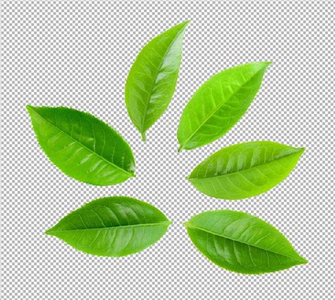 Premium Psd Tea Leaves Isolated On Alpha Layer