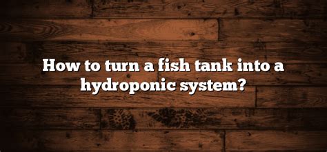 How To Turn A Fish Tank Into A Hydroponic System Inter Culturalu