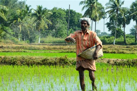 Indian Union Budget 2023 24 For Agriculture Sector From Natural Farming