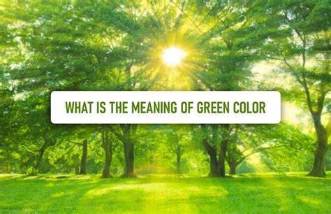 What Is The Meaning Of Green Color Gdf Learning