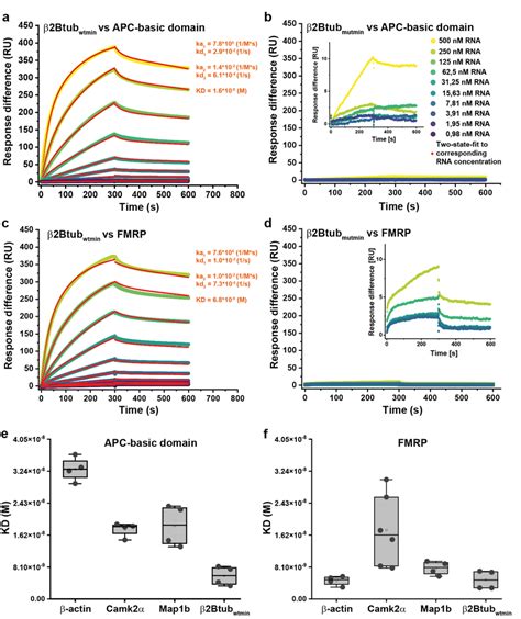 Apc Basic Domain And Fmrp Bind G Rich Target Rnas With High Affinity