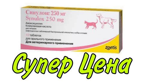 Купить Synulox (Синулокс) 250 мг (10 таб), цена 290 ₴ — Prom.ua (ID ...