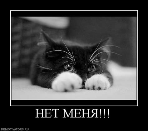 Ответы Mail: Срочно нужна картинка с надписью "Меня нет" или "Меня ...