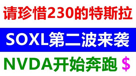 美股老司机请珍惜230左右的特斯拉英伟达行情已经开始奔跑SPY QQQ TSLA AAPL NVDA AMD MSFT META