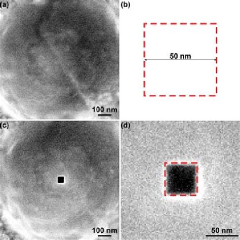 Square Pore 50nm Within The Base Of The Microcavity Created And