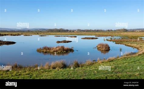 Pulborough Brooks Rspb Nature Reserve In Sussex In Winter Sussex Uk