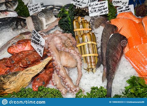 Mariscos En Hielo En El Mercado De Pescado Imagen De Archivo Imagen