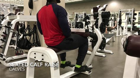 Seated Calf Raise Machine Youtube