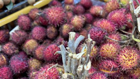 Rambutan Nephelium Lappaceum With Natural Background Rambutan Is The